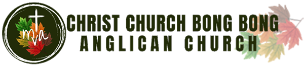 Christ Church Bong Bong Anglican Church Logo